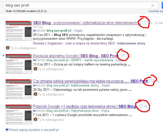 google-przycisk-+1-blog-seo-profi